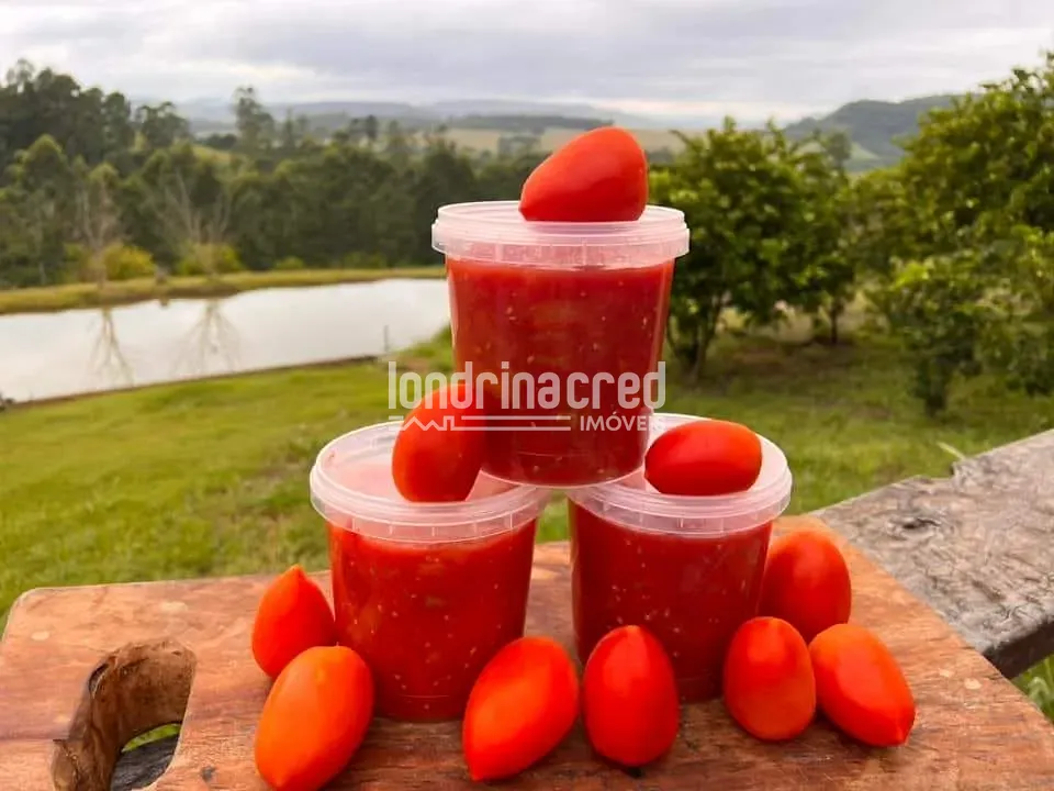 Fazenda, 8 hectares - Foto 19