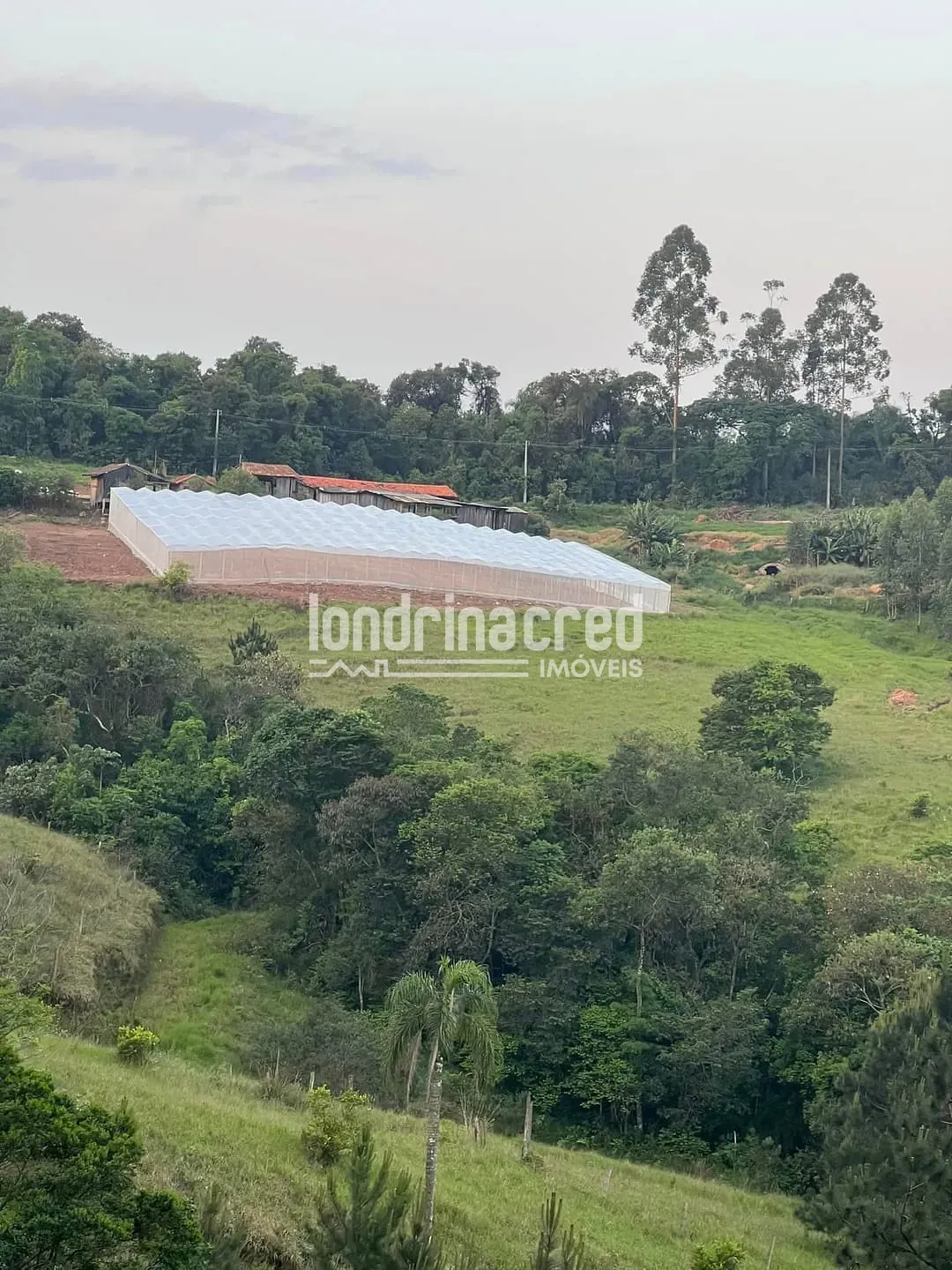 Fazenda, 8 hectares - Foto 20