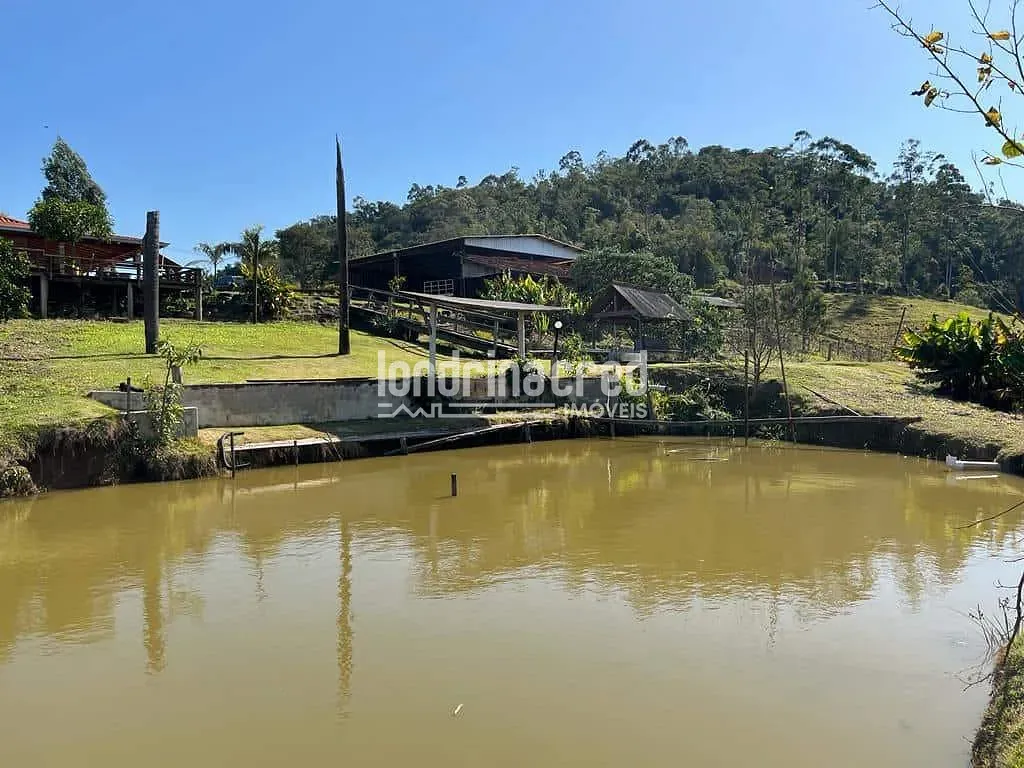 Fazenda, 8 hectares - Foto 21