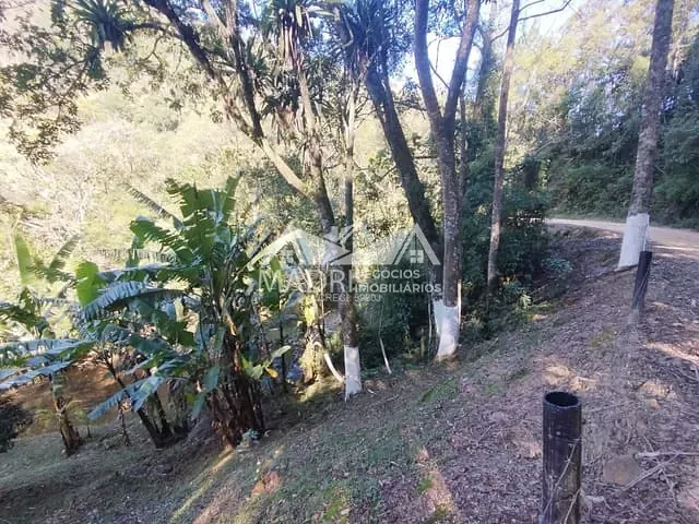 Sítio com 3000m² 1 quarto e 1 banheiro, à venda, no bairro Rio do Meio em Anitápolis