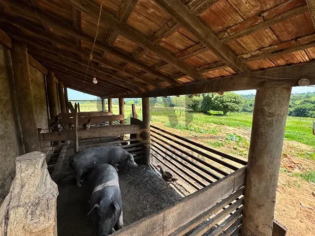 Sítio com 72600m², à venda, no bairro Área Rural de Artur Nogueira em Artur Nogueira