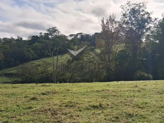 Sítio com 169400m² 2 quartos e 1 banheiro, à venda, no bairro Centro em Saltinho