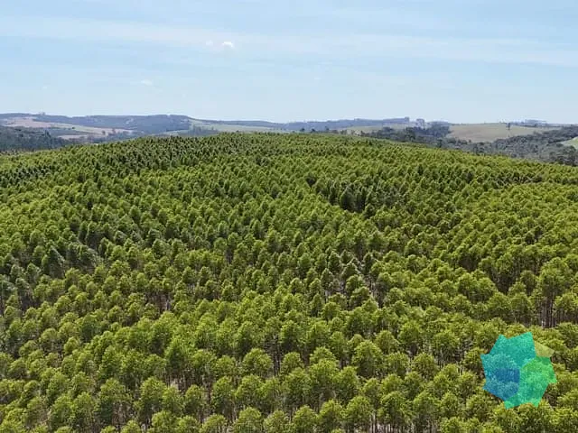 Sítio com 1815000m², à venda, no bairro Vila Sao Joao em São Miguel Arcanjo