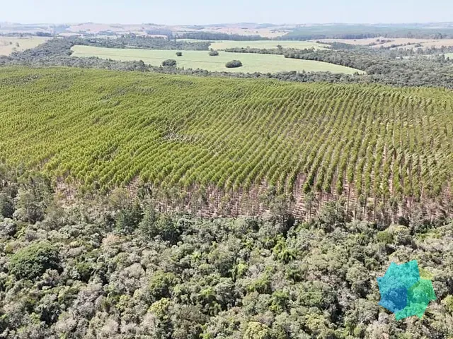 Sítio com 1815000m², à venda, no bairro Vila Sao Joao em São Miguel Arcanjo