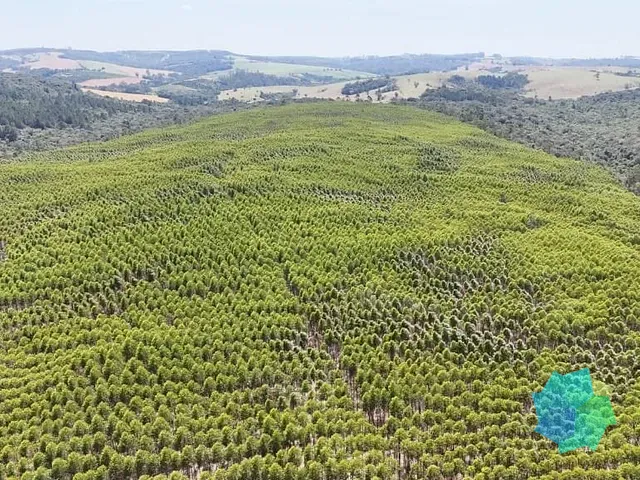 Sítio com 1815000m², à venda, no bairro Vila Sao Joao em São Miguel Arcanjo