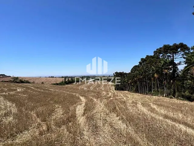 Sítio com 136125m², à venda, no bairro Gleba Ribeirão Cambira em Apucarana