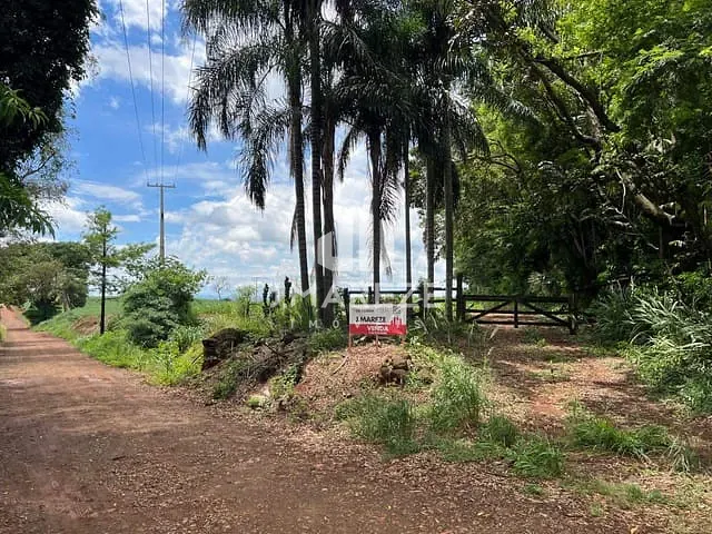 Sítio com 136125m², à venda, no bairro Gleba Ribeirão Cambira em Apucarana
