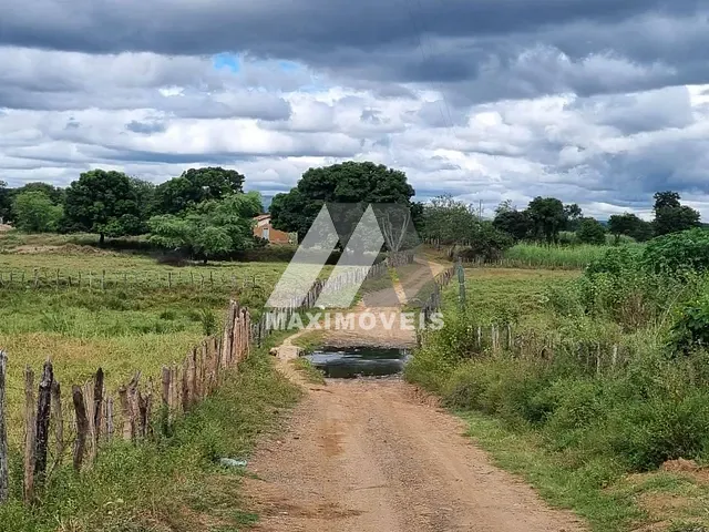 Sítio com 170m² 4 quartos e 1 banheiro, à venda, no bairro Zona Rural em Araçuaí