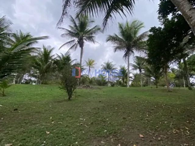 Sítio com 80000m² 3 quartos e 1 banheiro, à venda, no bairro Nossa Senhora da Vitória em Ilhéus
