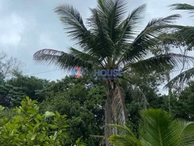 Sítio com 80000m² 3 quartos e 1 banheiro, à venda, no bairro Nossa Senhora da Vitória em Ilhéus