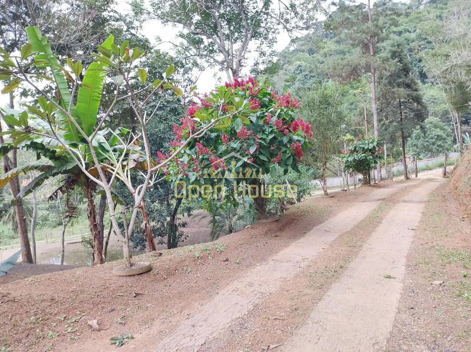 Fazenda, 4 hectares - Foto 40