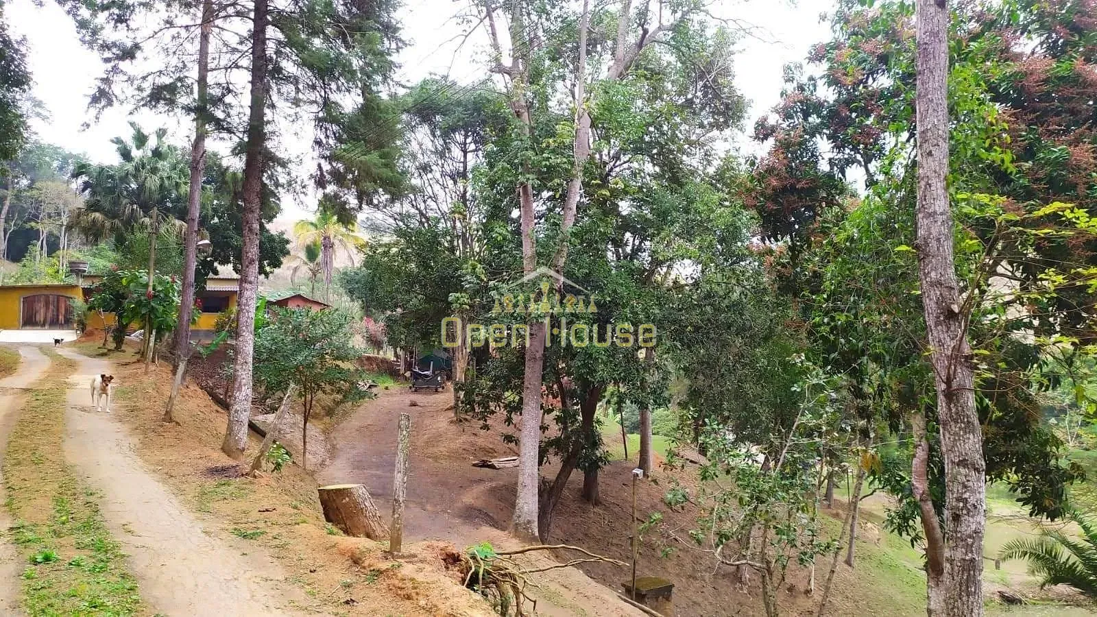 Fazenda, 4 hectares - Foto 41