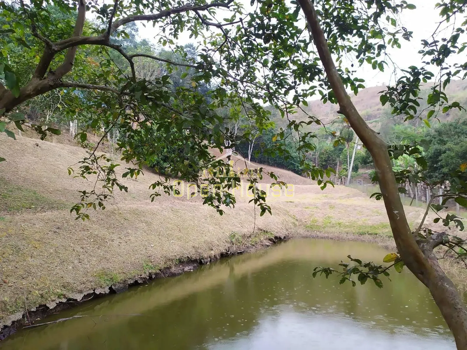 Fazenda, 4 hectares - Foto 42