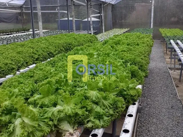 Sítio com 24200m² 2 quartos e 1 banheiro, à venda, no bairro Itapety em Mogi das Cruzes