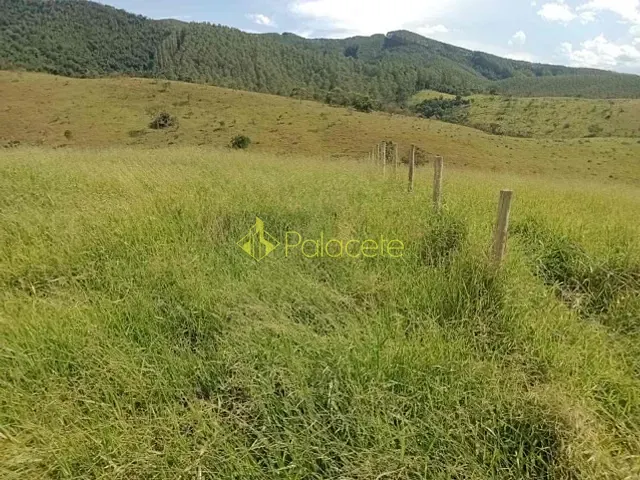 Sítio com 20000m², à venda, no bairro POUSO FRIO em Taubaté