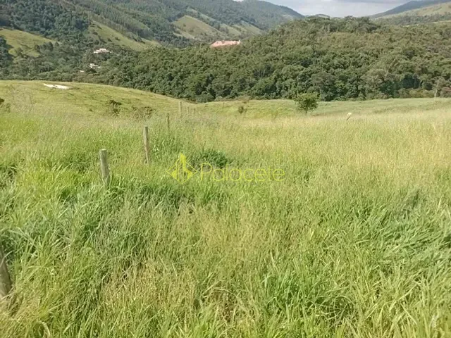 Sítio com 20000m², à venda, no bairro POUSO FRIO em Taubaté