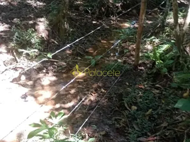 Sítio com 20000m², à venda, no bairro POUSO FRIO em Taubaté