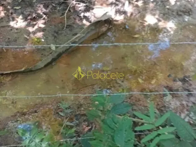Sítio com 20000m², à venda, no bairro POUSO FRIO em Taubaté