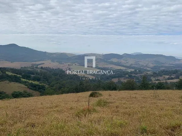 Sítio com 217000m², à venda, no bairro Araras em Pinhalzinho
