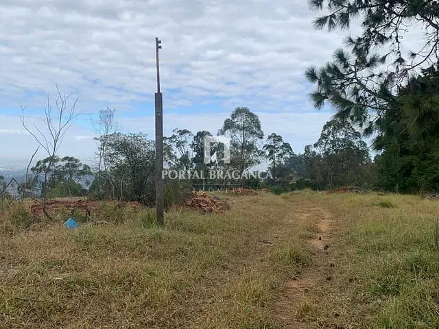 Sítio com 217000m², à venda, no bairro Araras em Pinhalzinho