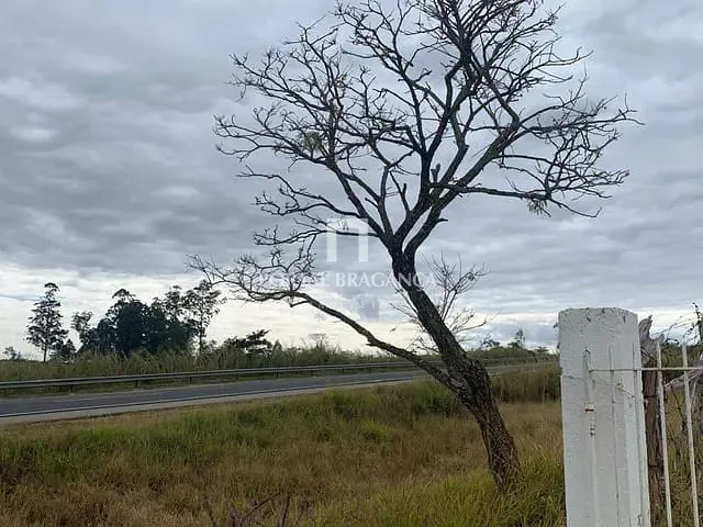Sítio com 217000m², à venda, no bairro Araras em Pinhalzinho