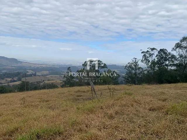 Sítio com 217000m², à venda, no bairro Araras em Pinhalzinho