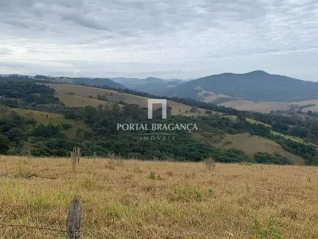 Sítio com 217000m², à venda, no bairro Araras em Pinhalzinho