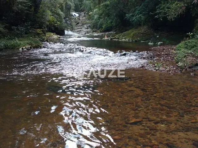 Sítio com 1m², à venda, no bairro Contenda em São José Dos Pinhais