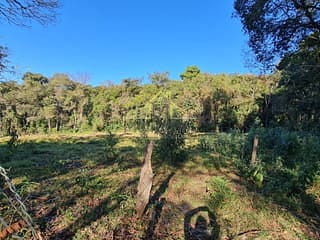 Foto do Sítio-Sítio à venda, 125840 m² por R$ 500.000,00 - Zona Rural  - Monte Santo de Minas/MG