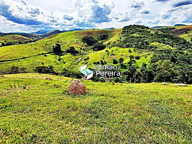 Sítio com 39000m² 3 quartos e 2 banheiros, à venda, no bairro Centro em Matias Barbosa