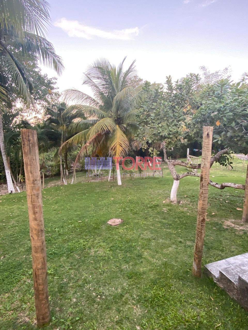 Sítio à venda com 7 quartos, 4000m² - Foto 54