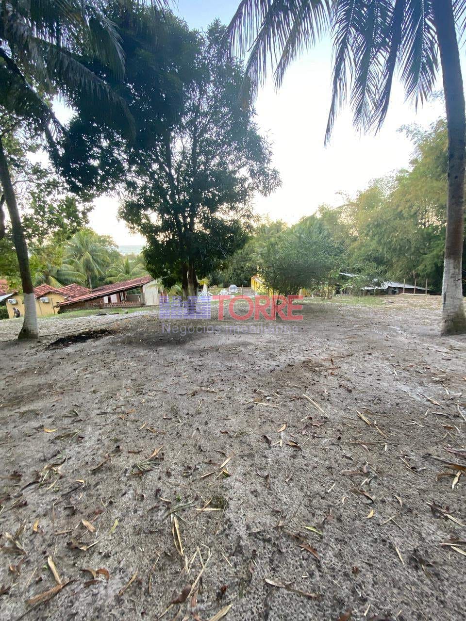 Sítio à venda com 7 quartos, 4000m² - Foto 58