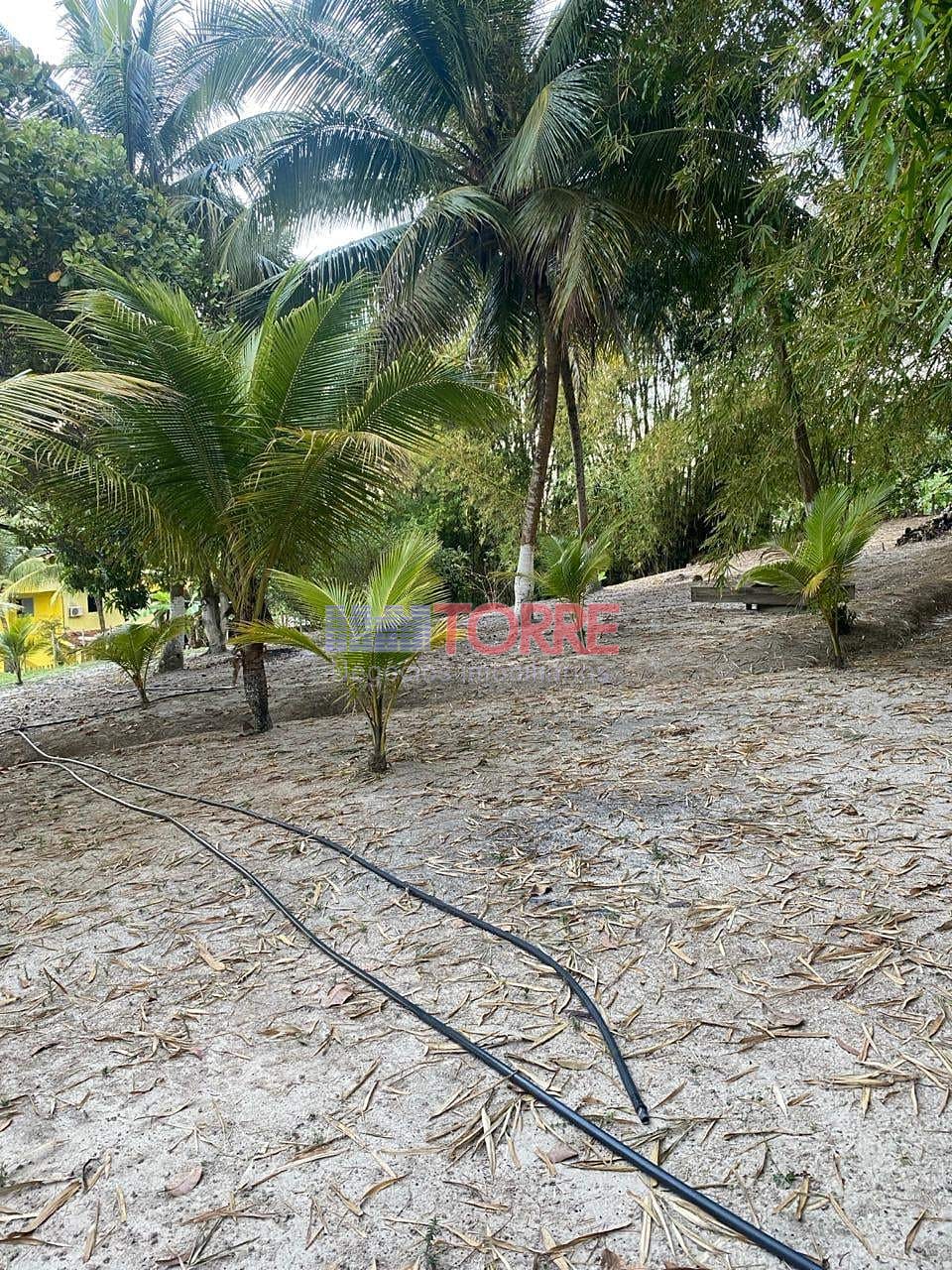 Sítio à venda com 7 quartos, 4000m² - Foto 62