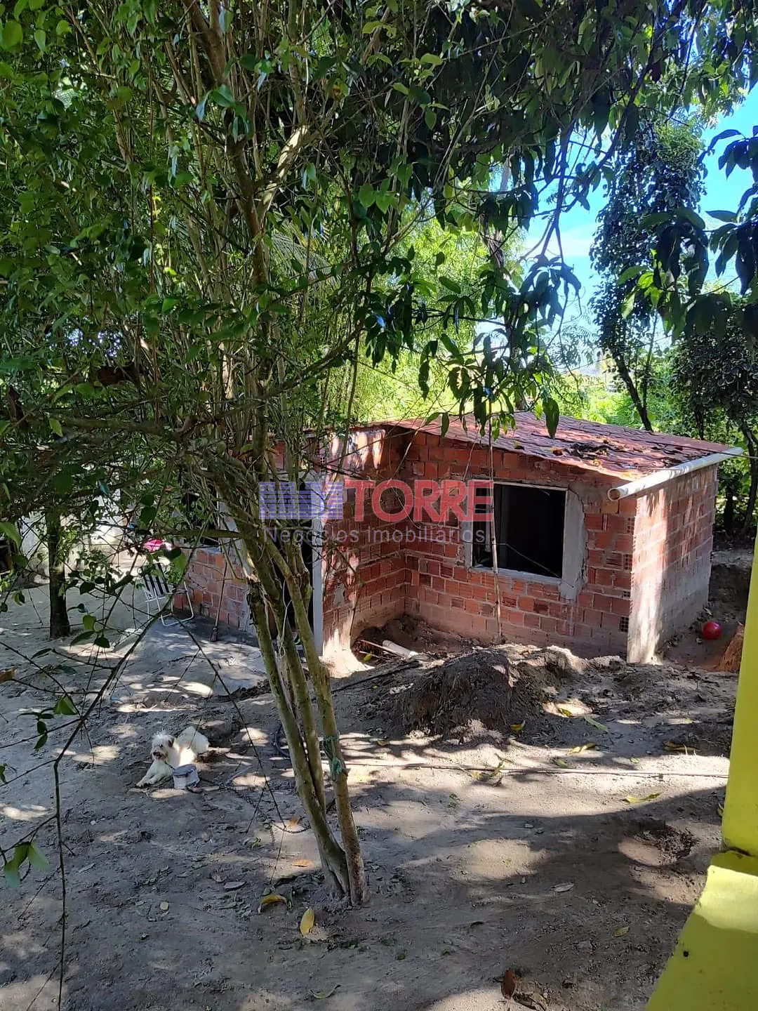 Sítio, 7 quartos, 4000 m² - Foto 17