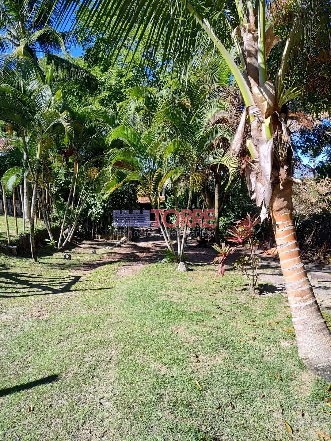 Sítio, 7 quartos, 4000 m² - Foto 14