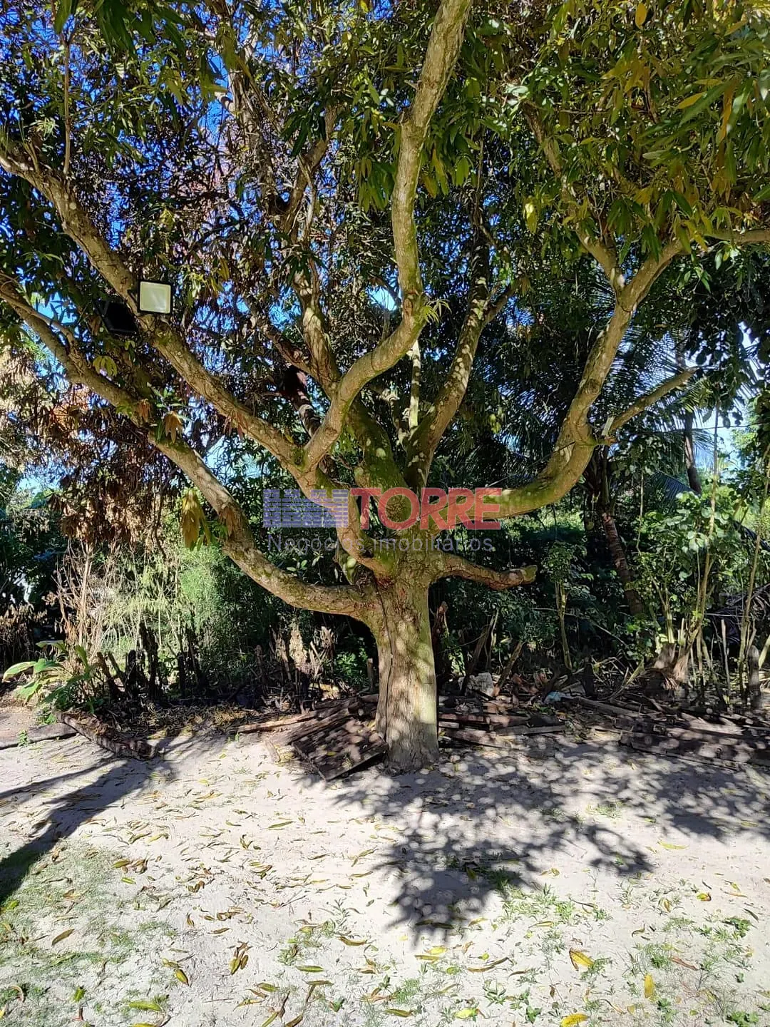 Sítio, 7 quartos, 4000 m² - Foto 23