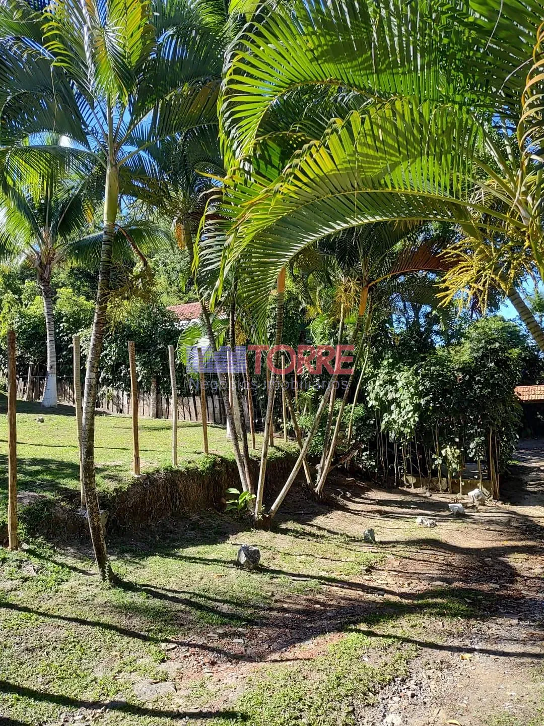 Sítio, 7 quartos, 4000 m² - Foto 24