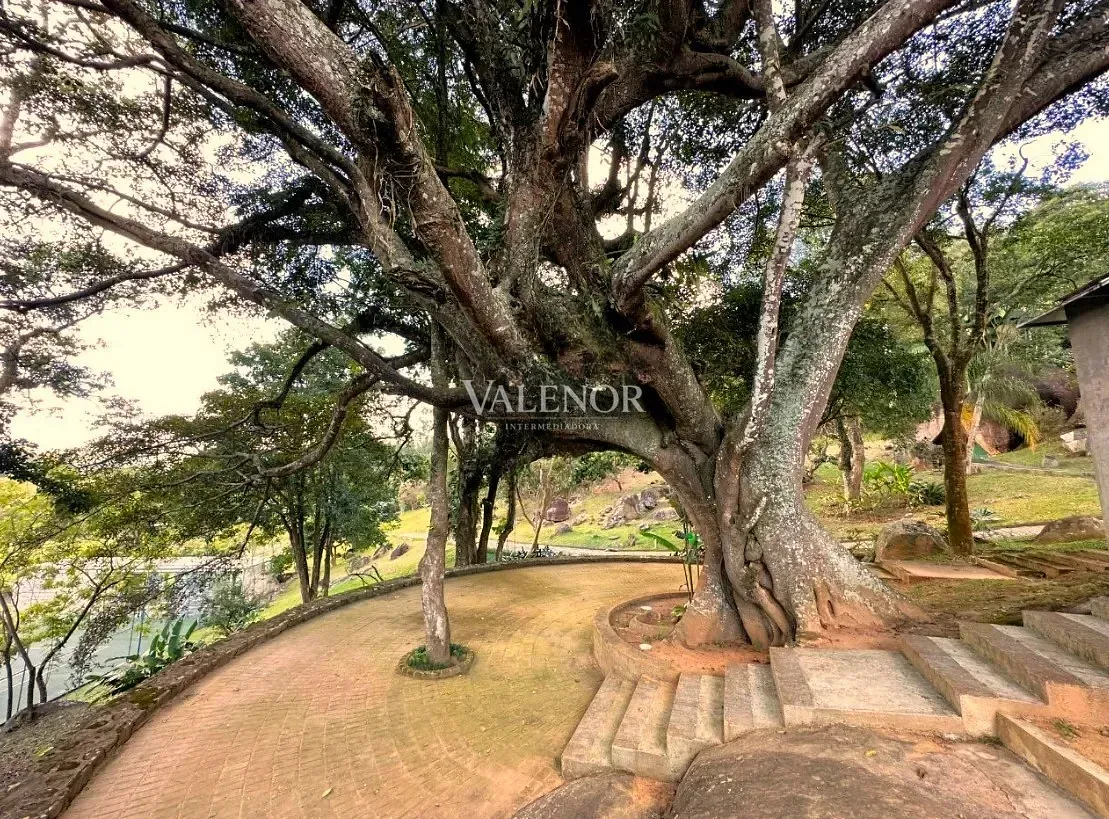 Fazenda, 16 hectares - Foto 25