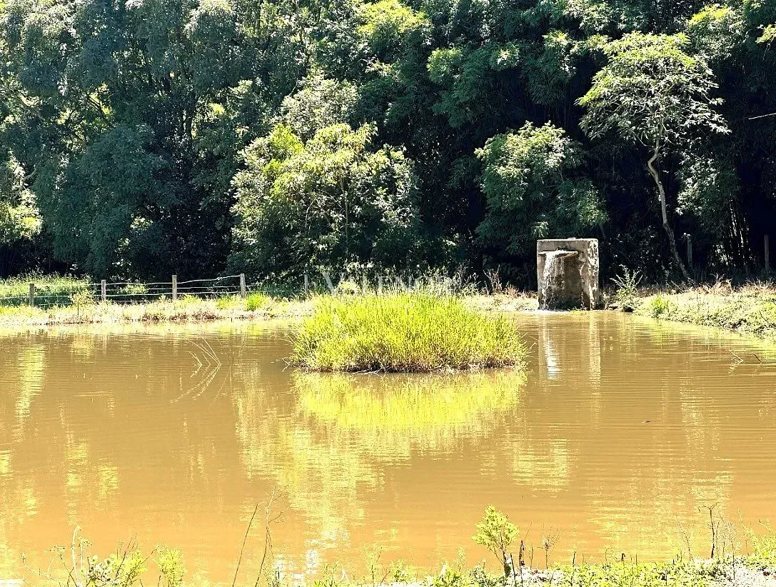 Fazenda, 16 hectares - Foto 20