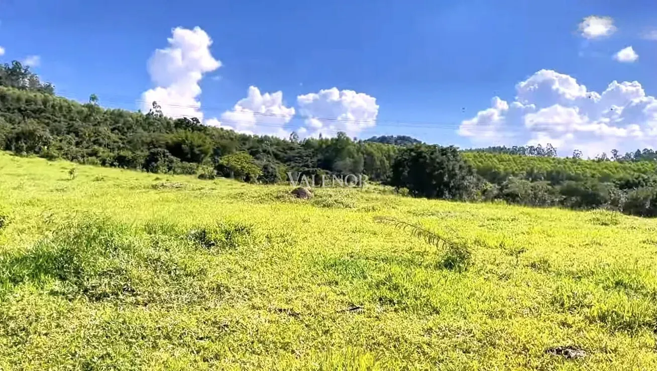 Fazenda, 16 hectares - Foto 17