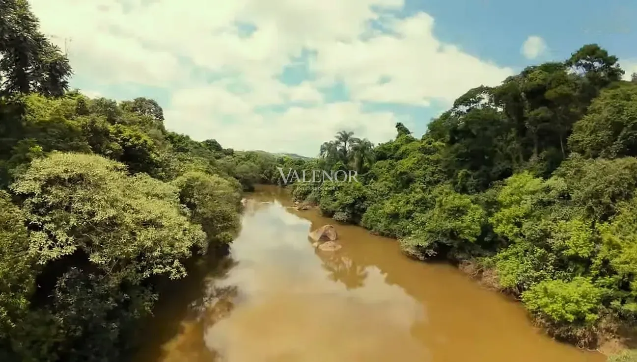 Fazenda, 16 hectares - Foto 13