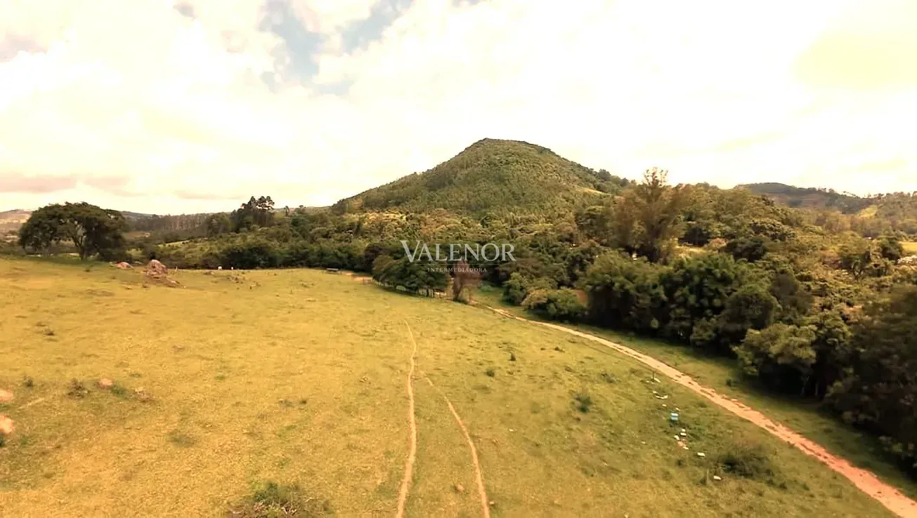 Fazenda, 16 hectares - Foto 19