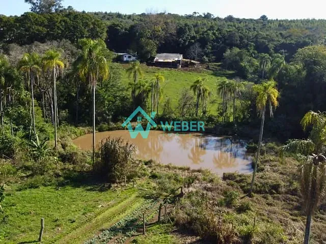 Sítio com 60000m² 4 quartos e 4 banheiros, à venda, no bairro Travessão em Dois Irmãos