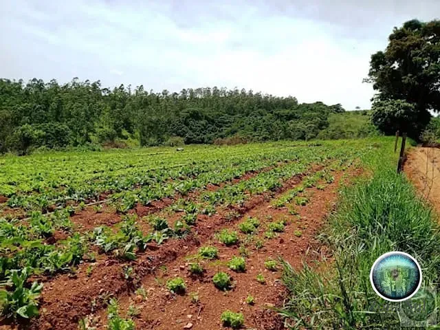 Sítio com 70m², à venda, no bairro Jurupará em Piedade
