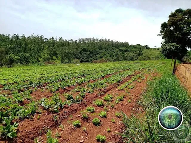 Sítio com 70m², à venda, no bairro Jurupará em Piedade