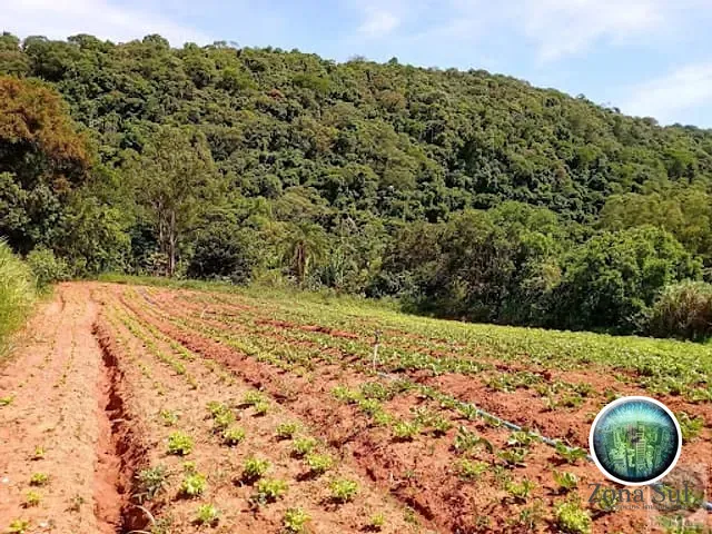 Sítio com 70m², à venda, no bairro Jurupará em Piedade