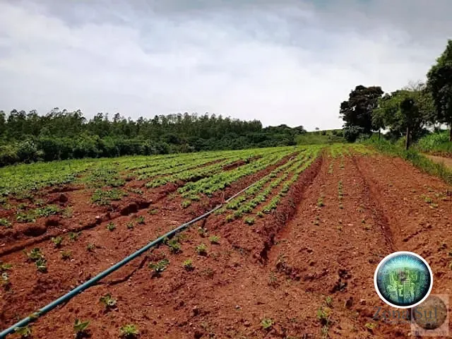 Sítio com 70m², à venda, no bairro Jurupará em Piedade