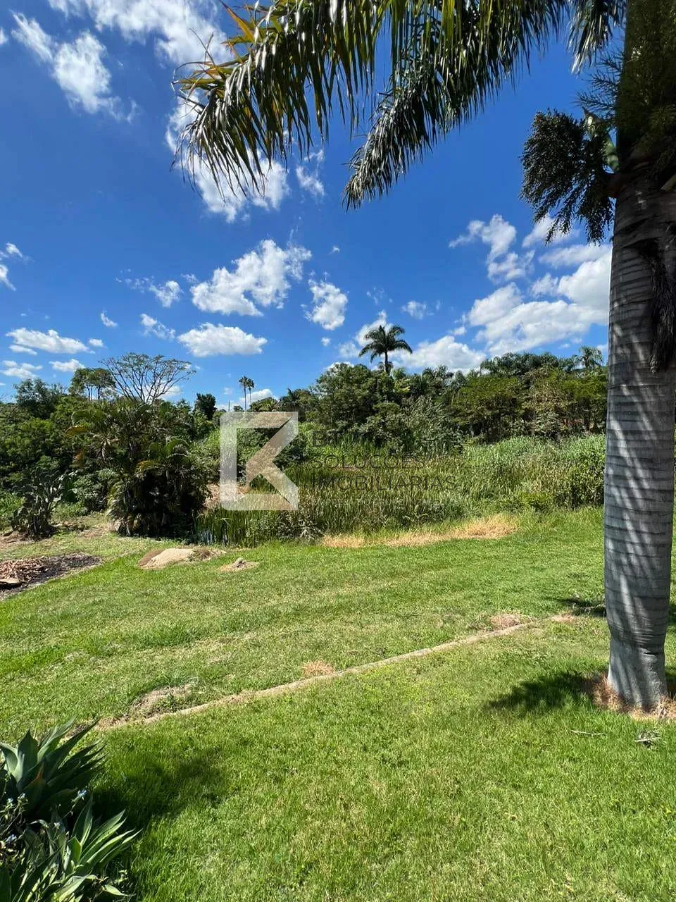 Fazenda, 3 hectares - Foto 9