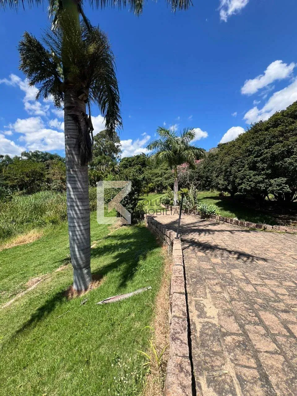 Fazenda, 3 hectares - Foto 10