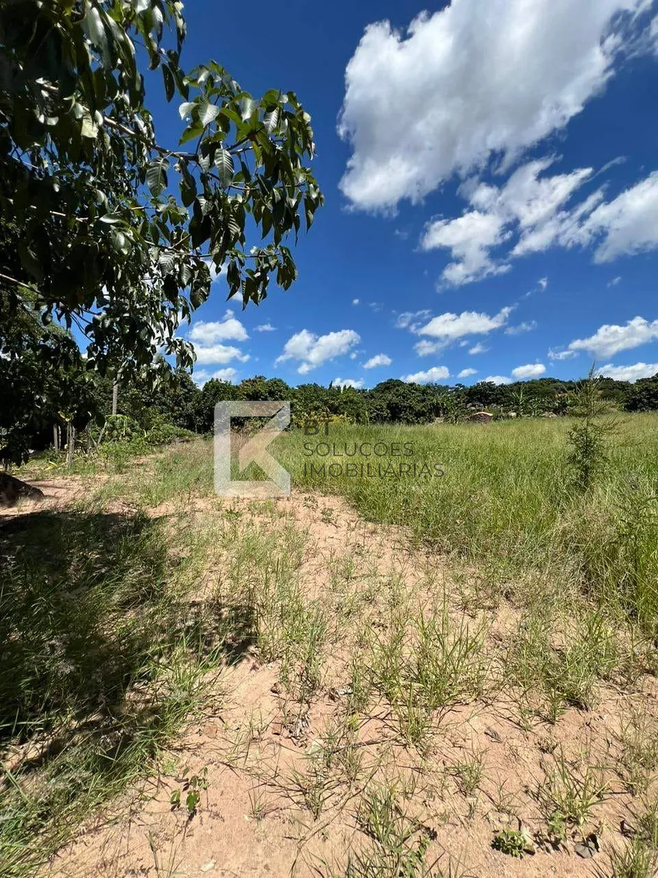 Fazenda, 3 hectares - Foto 77